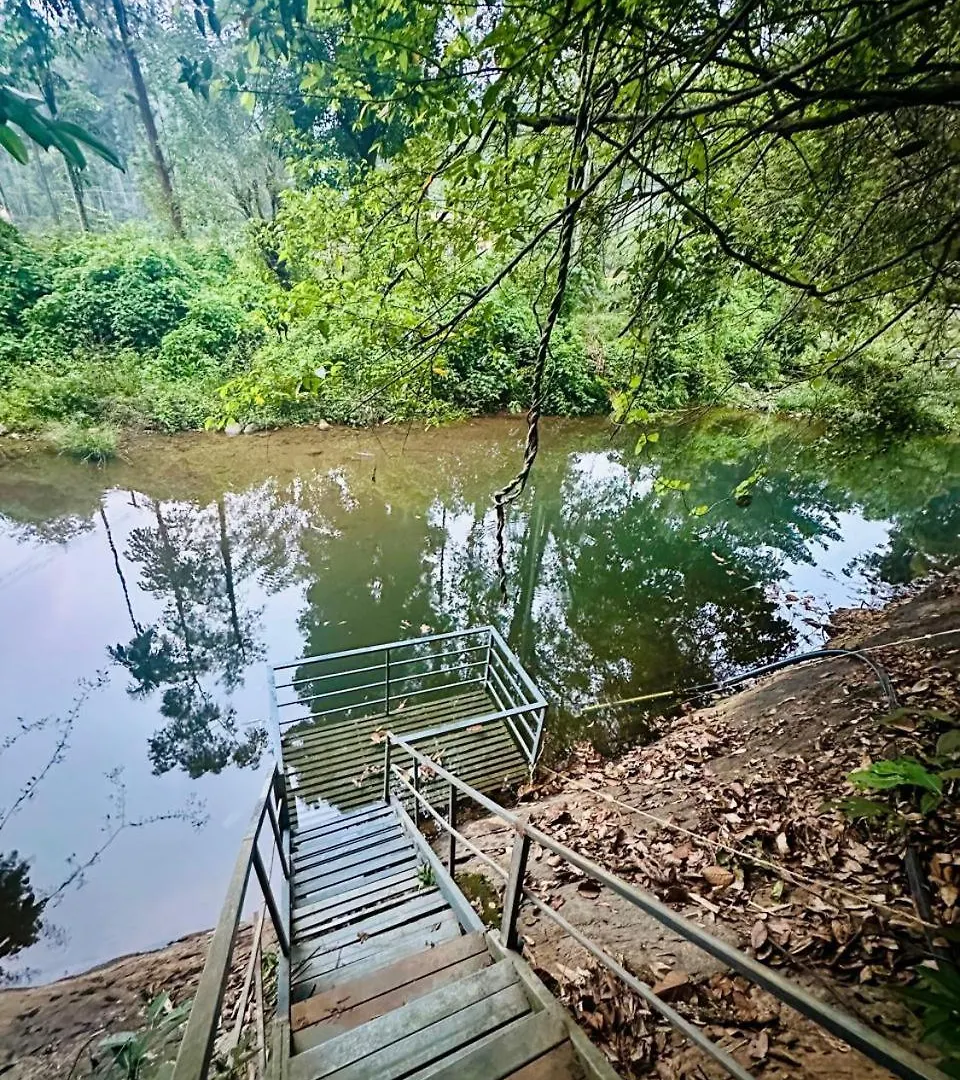 Wilderstay Resort Meppadi India