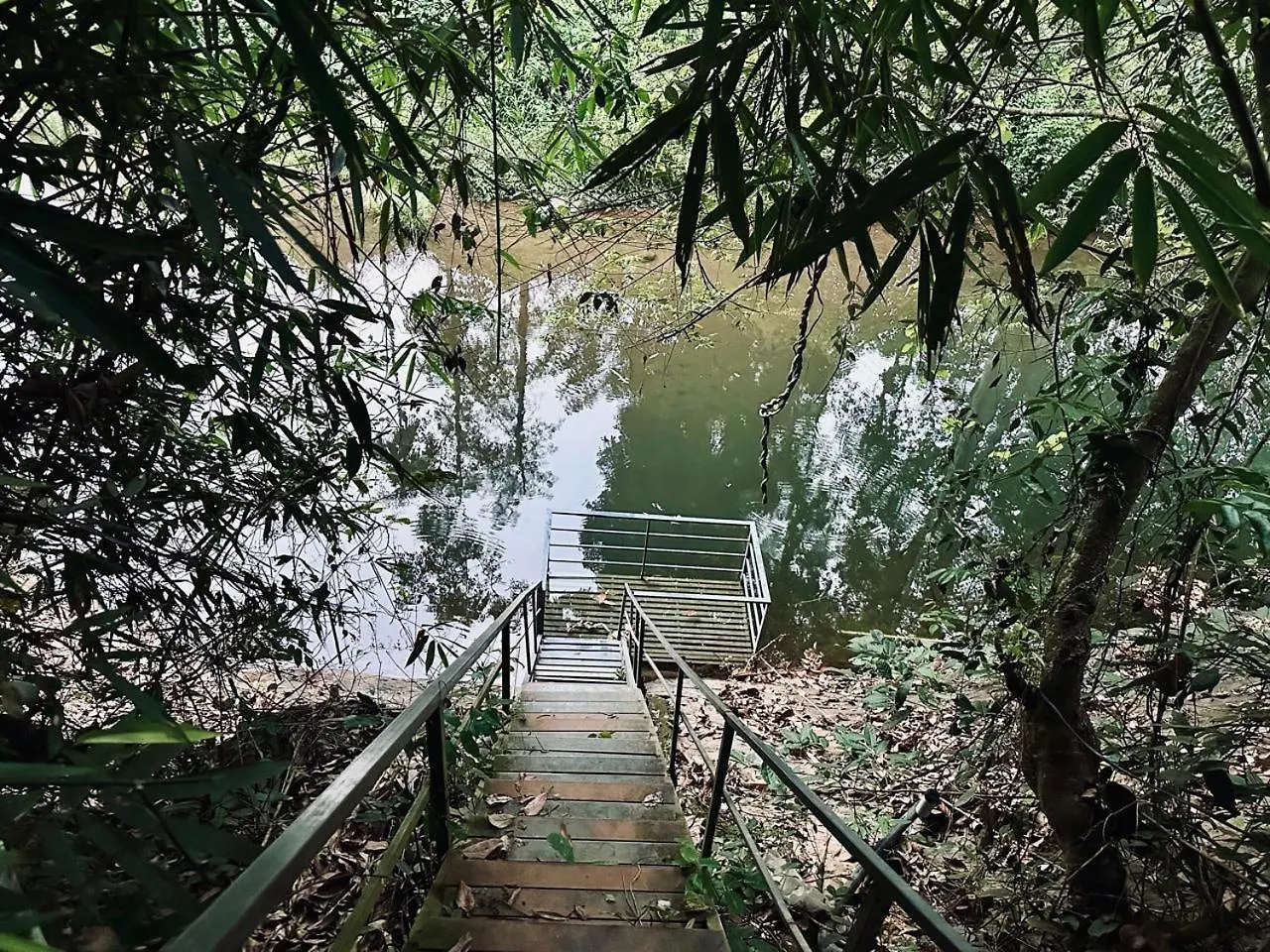 Wilderstay Resort Meppādi 0*,