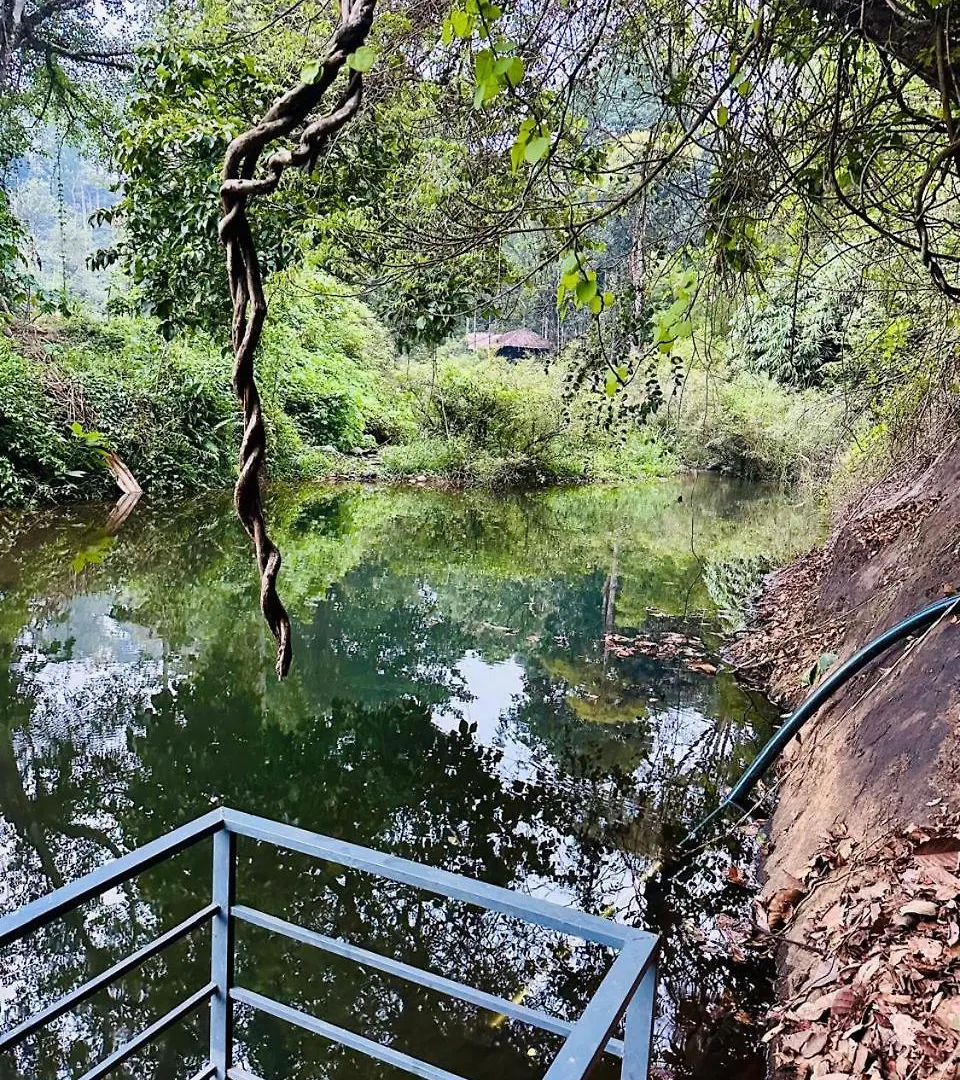 Wilderstay Resort Meppādi 0*,