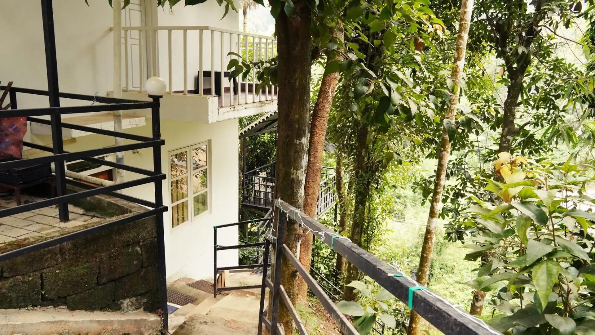 Wilderstay Resort Meppādi